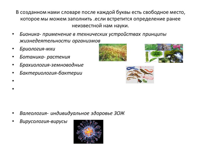 В созданном нами словаре после каждой буквы есть свободное место, которое мы можем заполнить