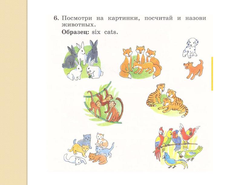 Презентация "Развитие функциональной грамотности на уроках английского языка"