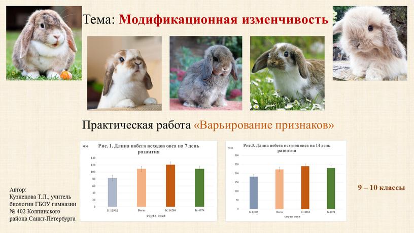 Тема: Модификационная изменчивость