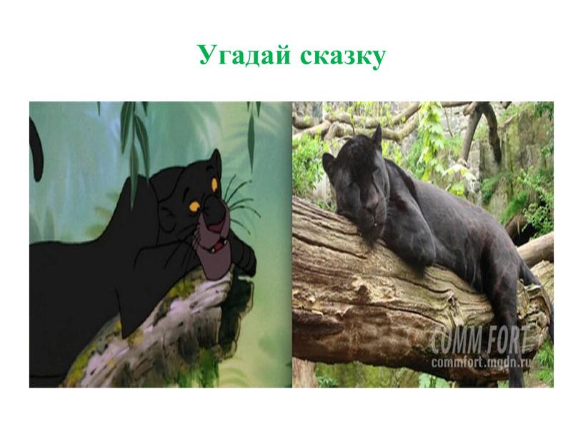 Угадай сказку