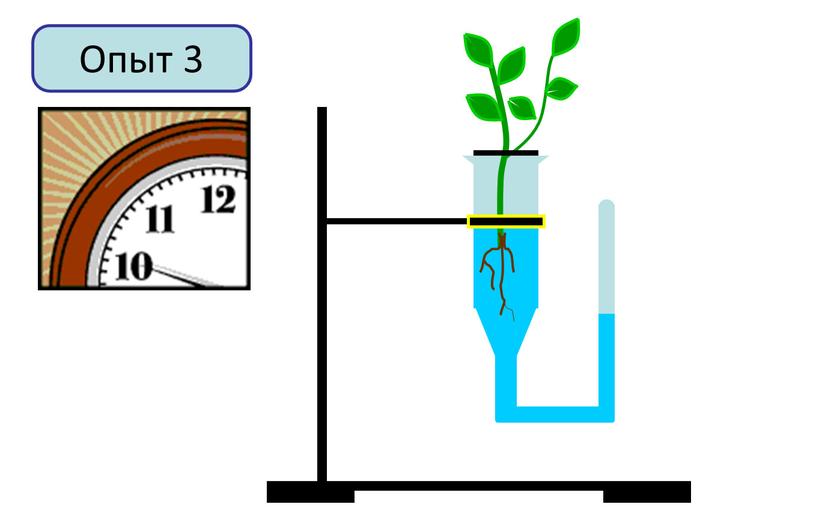 Опыт 3