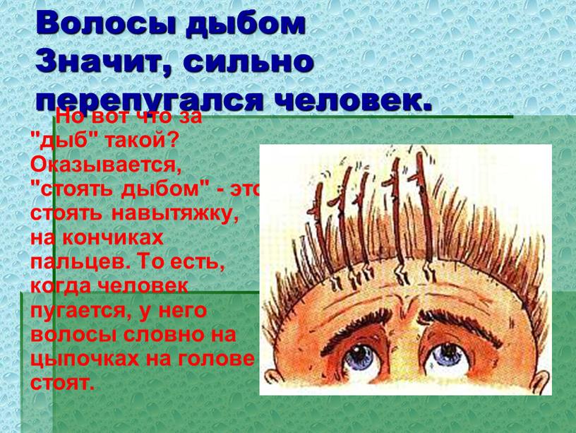 Волосы дыбом Значит, сильно перепугался человек