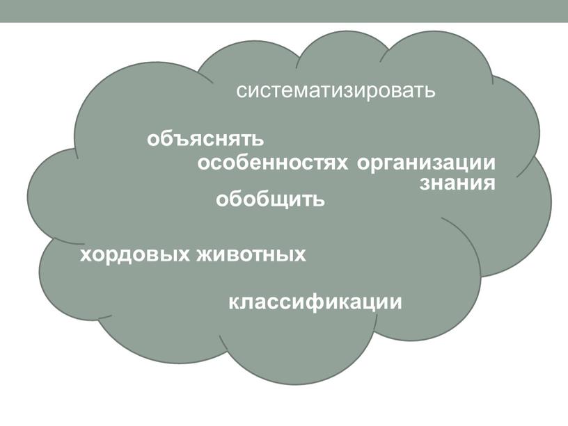 обобщить систематизировать объяснять хордовых животных знания классификации особенностях организации