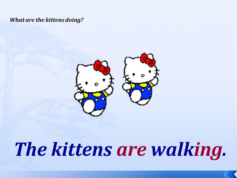 What are the kittens doing? The kittens are walking