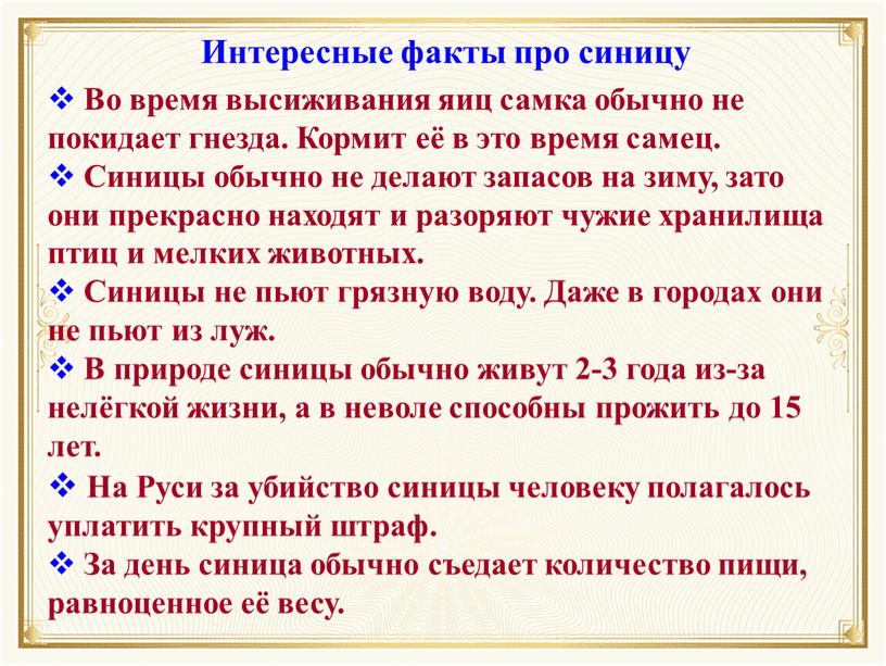 Во время высиживания яиц самка обычно не покидает гнезда