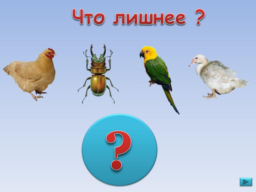 Что лишнее ? ?