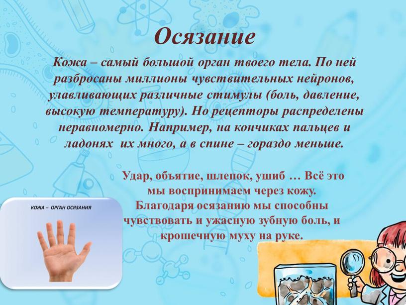 Удар, объятие, шлепок, ушиб … Всё это мы воспринимаем через кожу