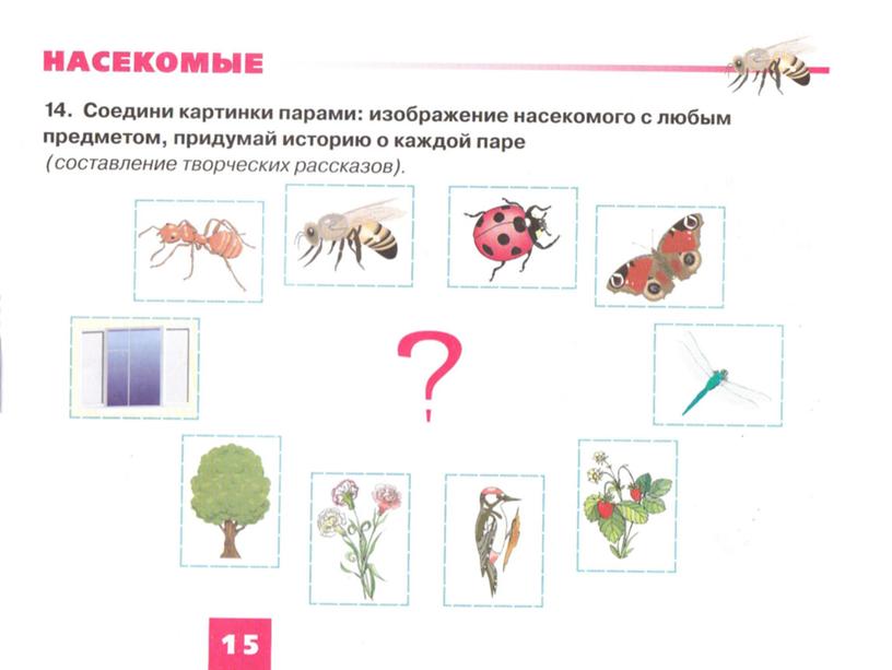 Обучающая презентация "Насекомые" для детей старшего дошкольного возраста