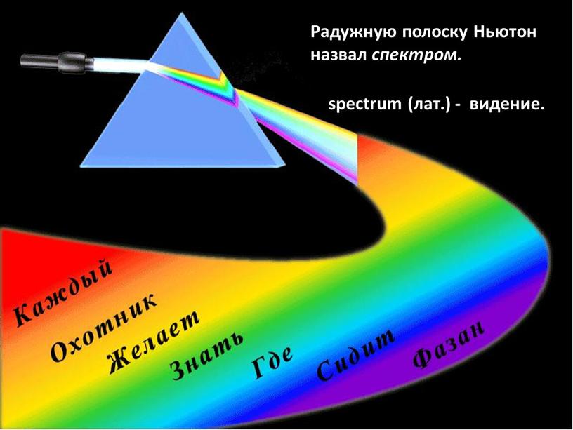 Радужную полоску Ньютон назвал спектром