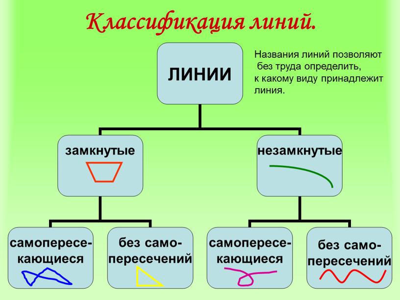 Классификация линий. Названия линий позволяют без труда определить, к какому виду принадлежит линия