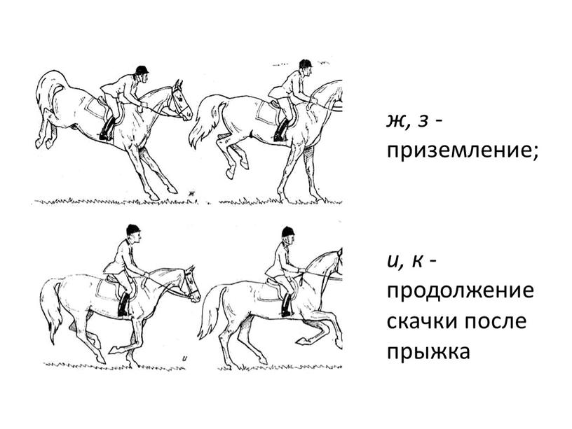 ж, з - приземление; и, к - продолжение скачки после прыжка