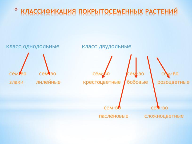 КЛАССИФИКАЦИЯ ПОКРЫТОСЕМЕННЫХ РАСТЕНИЙ класс однодольные класс двудольные сем-во сем-во сем-во сем-во сем-во злаки лилейные крестоцветные бобовые розоцветные сем-во сем-во паслёновые сложноцветные