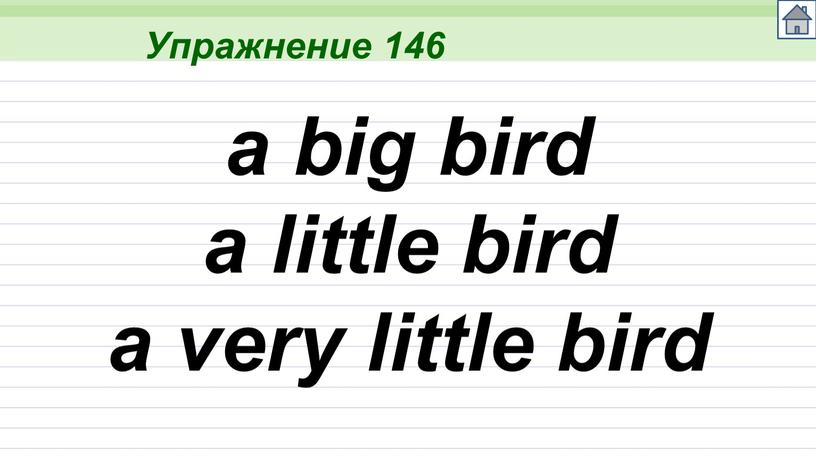 Упражнение 146 a big bird a little bird a very little bird