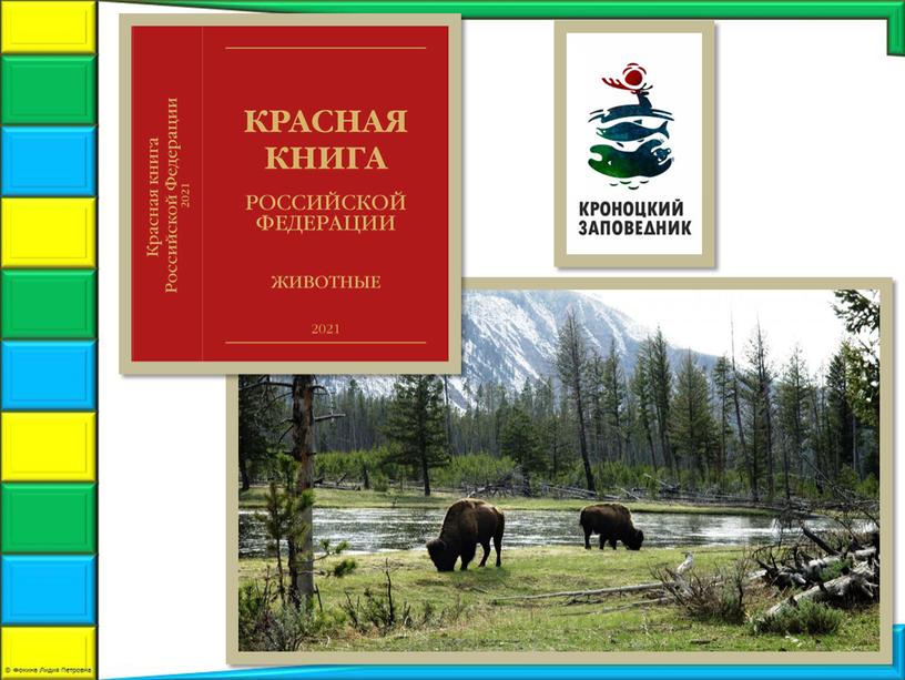 Презентация по ОДНКНР "Бережное отношение к природе"