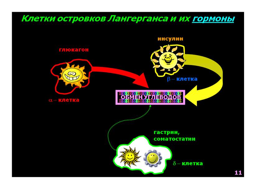 НАРУШЕНИЯ ОБМЕНА ВЕЩЕСТВ