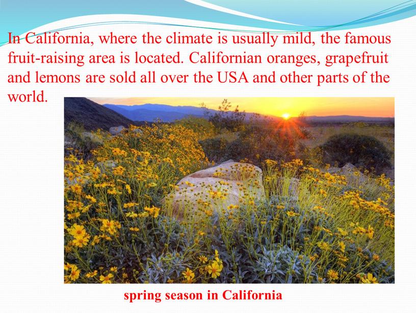 In California, where the climate is usually mild, the famous fruit-raising area is located