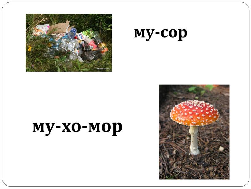 му-сор му-хо-мор