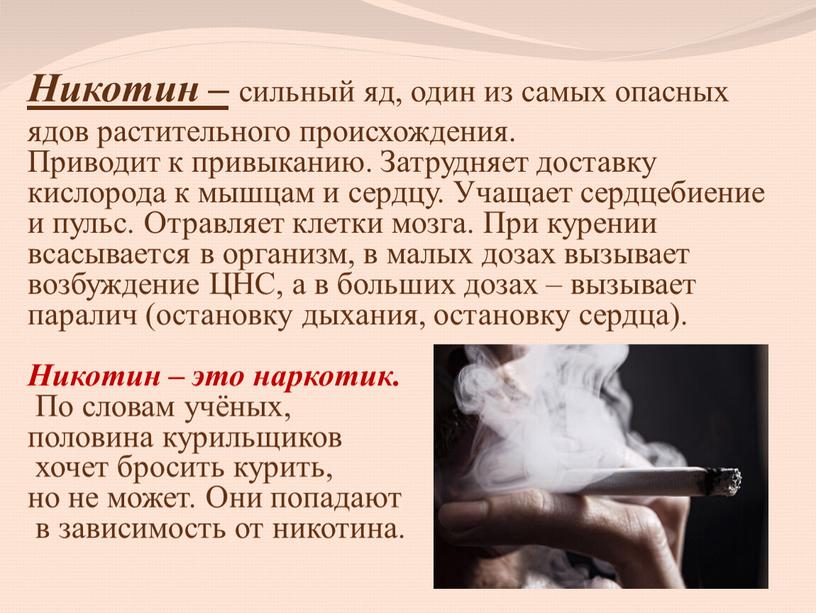 Никотин – сильный яд, один из самых опасных ядов растительного происхождения