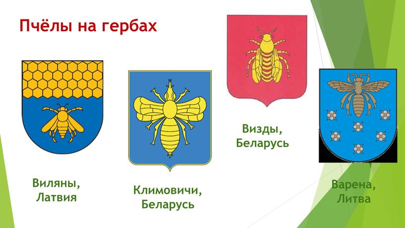 Пчёлы на гербах Виляны, Латвия