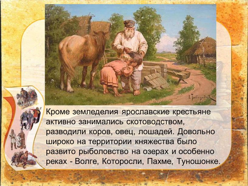 Кроме земледелия ярославские крестьяне активно занимались скотоводством, разводили коров, овец, лошадей