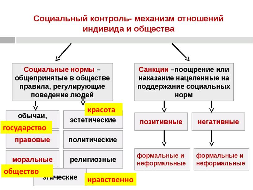 красота нравственно государство общество