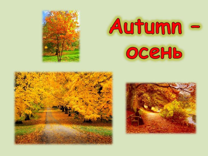 Autumn – осень
