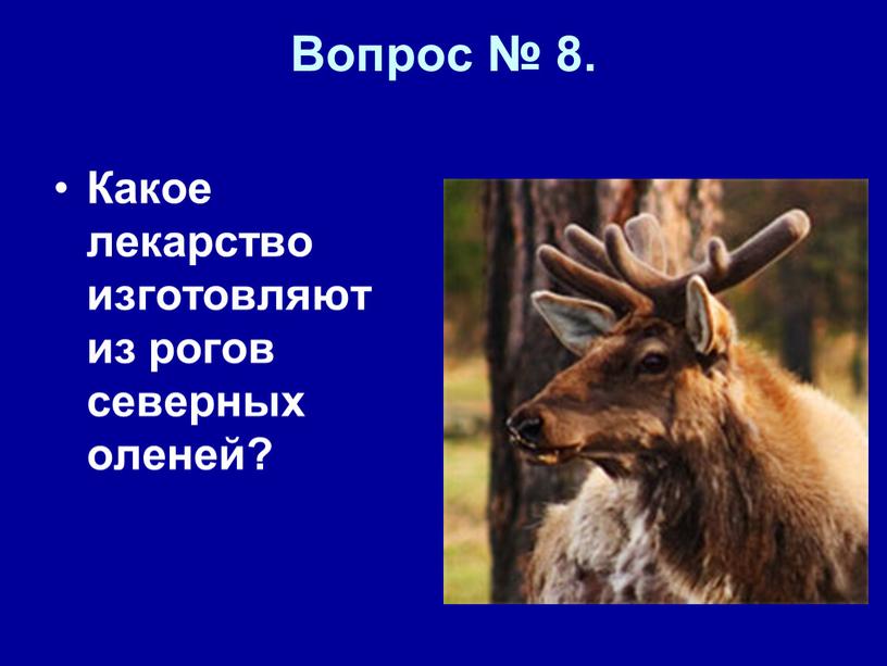 Вопрос № 8. Какое лекарство изготовляют из рогов северных оленей?