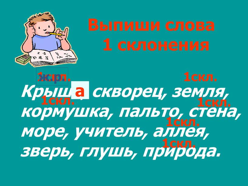 Выпиши слова 1 склонения Крыша, скворец, земля, кормушка, пальто, стена, море, учитель, аллея, зверь, глушь, природа