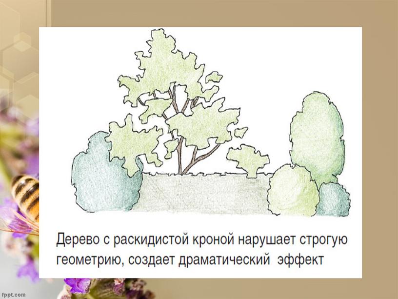 Практическое пособие: Композиционные решения посадки древесно - кустарниковых растений