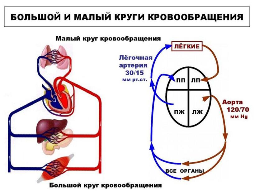 Подготовка к контрольной работе за курс 8-го класса