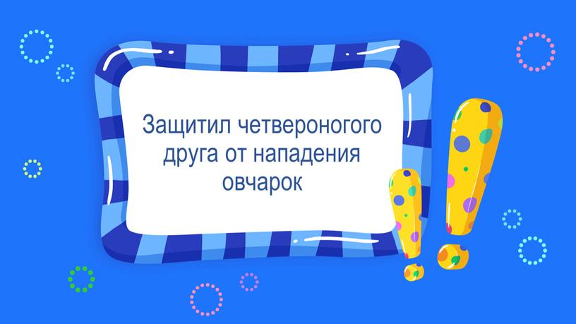 Защитил четвероногого друга от нападения овчарок