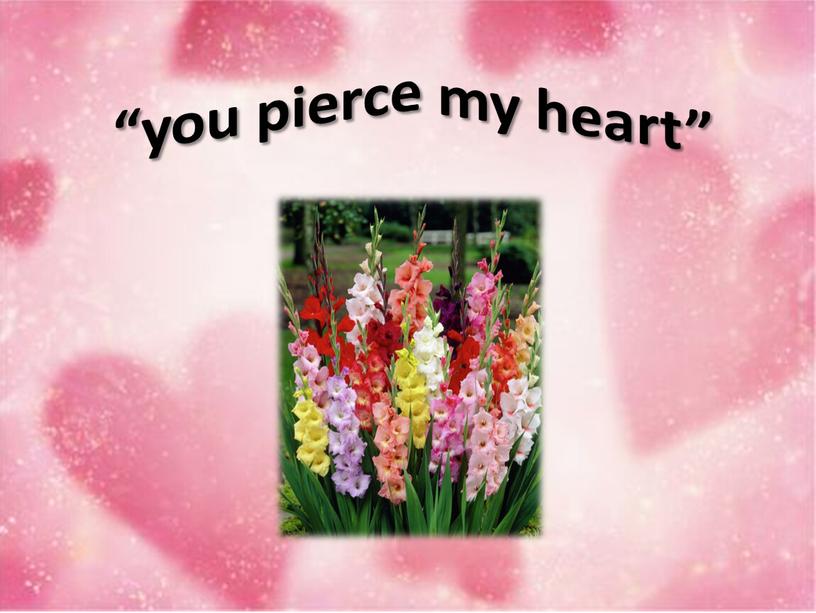 “you pierce my heart”