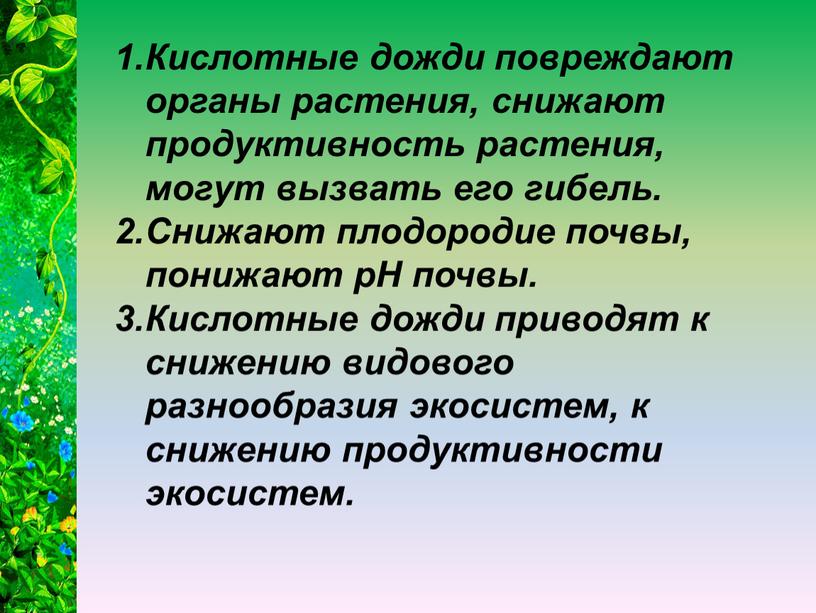 Кислотные дожди повреждают органы растения, снижают продуктивность растения, могут вызвать его гибель