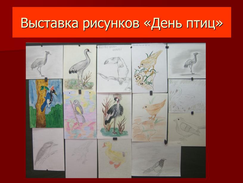 Выставка рисунков «День птиц»
