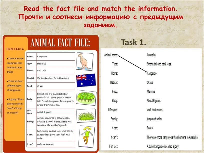 Read the fact file and match the information