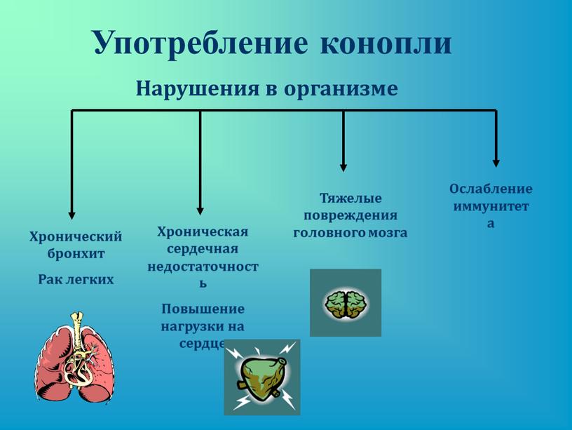 Употребление конопли Хронический бронхит