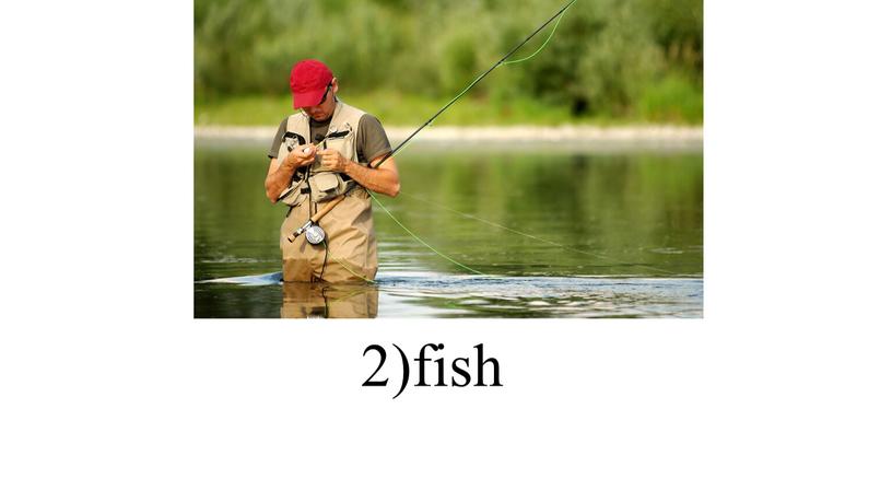 2)fish