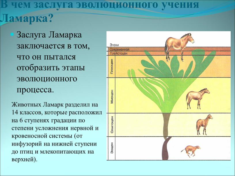 В чем заслуга эволюционного учения