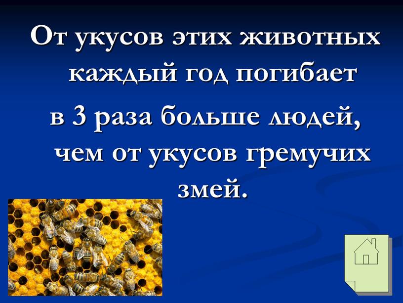 От укусов этих животных каждый год погибает в 3 раза больше людей, чем от укусов гремучих змей