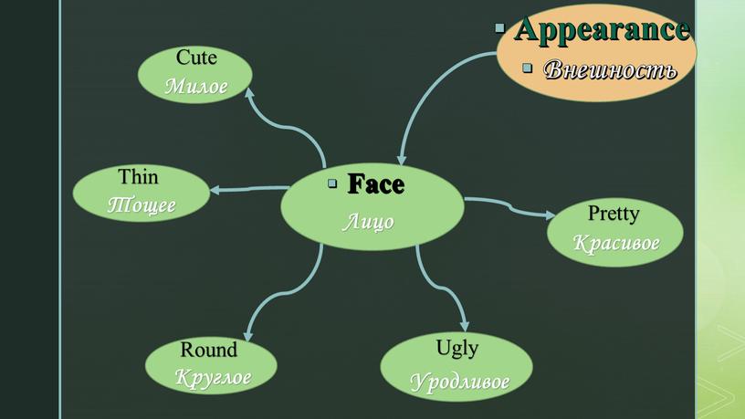 Appearance Внешность Лицо Face