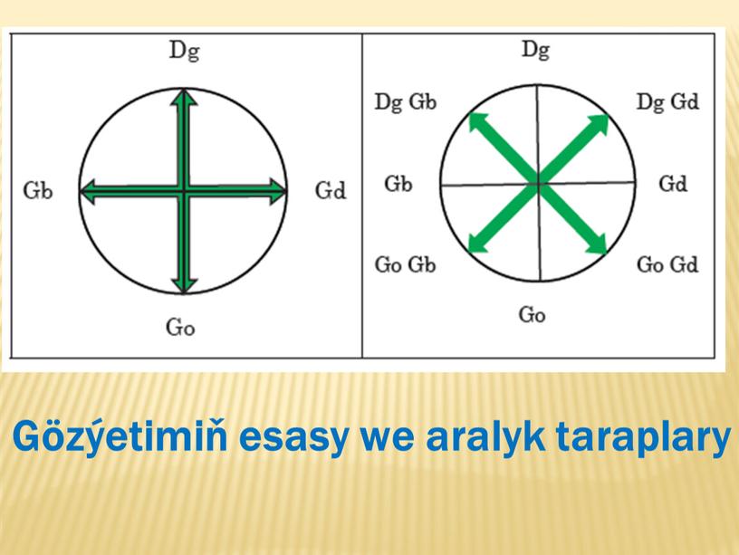 Gözýetimiň esasy we aralyk taraplary