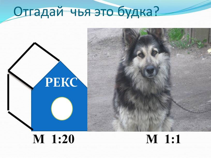 Отгадай чья это будка?