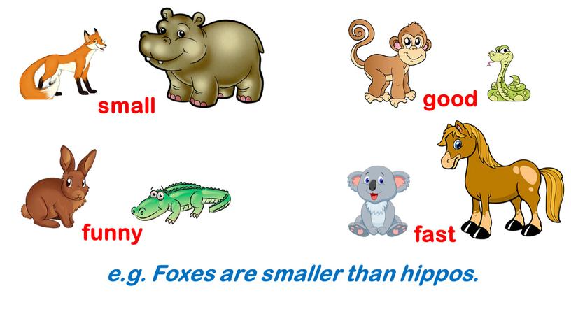 Foxes are smaller than hippos.