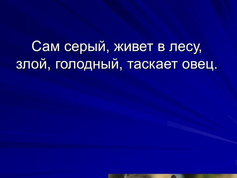 Сам серый, живет в лесу, злой, голодный, таскает овец