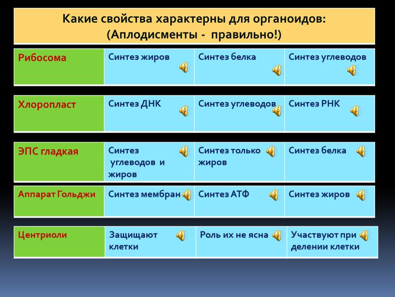 Рибосома Синтез жиров Синтез белка