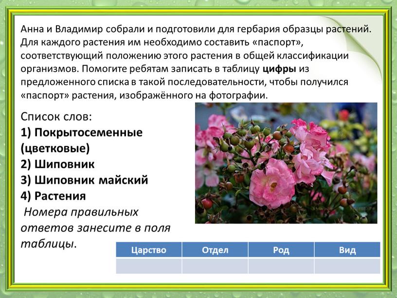 Анна и Владимир собрали и подготовили для гербария образцы растений