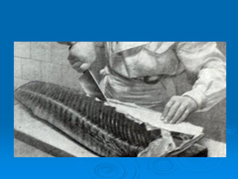 Первичная обработка рыбы осетровых работ