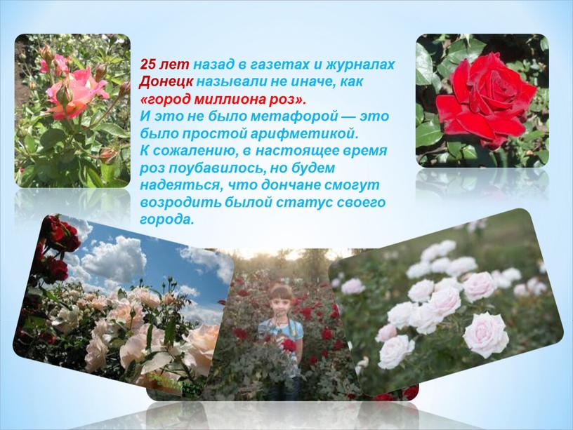 Донецк называли не иначе, как «город миллиона роз»
