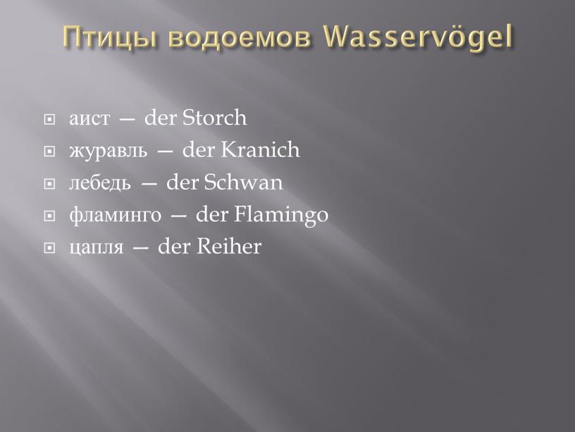 Птицы водоемов Wasservögel аист — der