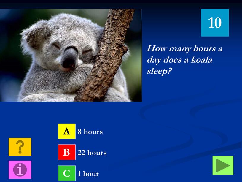 How many hours a day does a koala sleep?